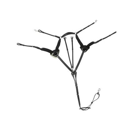 Vorderzeug für Pferde 5 Punkte Premier Equine Invorio