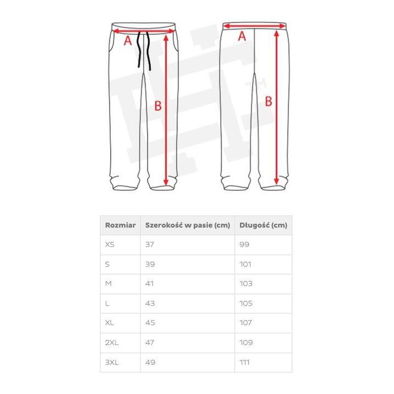 Spodnie dresowe sportowe męskie joggery EXTREME HOBBY HOOLS