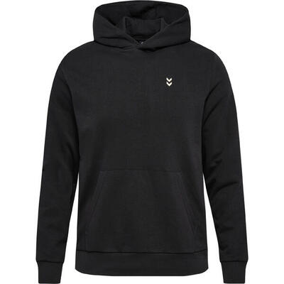 Instap hoodie hmlpulse heren