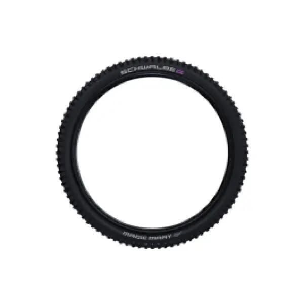 SCHWALBE picture