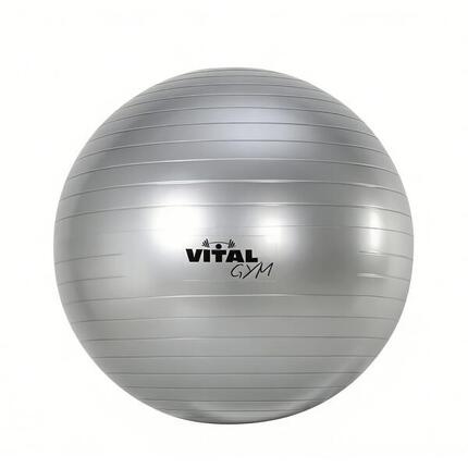 Ballon de fitness et de pilates Vital Gym de 65 cm