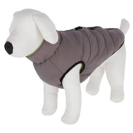 Manteau matelassé pour chien Kerbl Charmonix