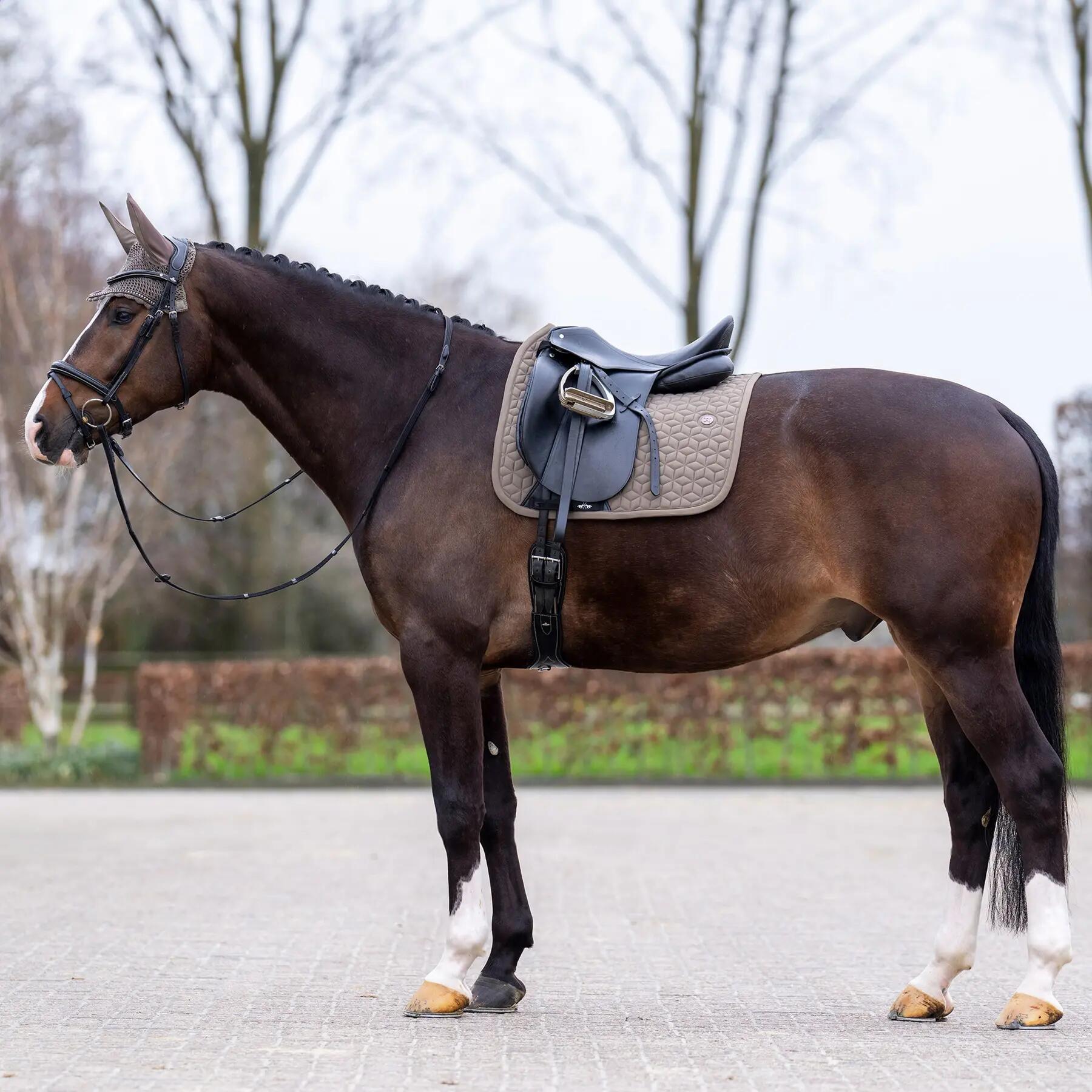 Tapis de dressage pour cheval HV Polo Essential 2/6