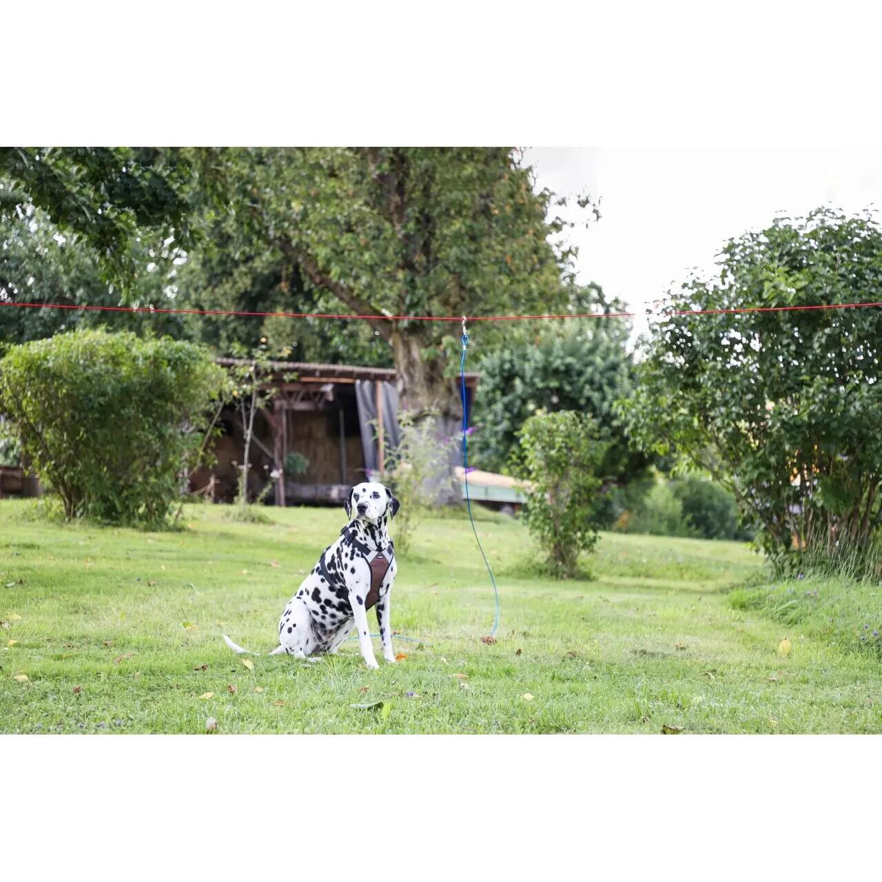 Kit Laisse d'attache pour chien Kerbl 2/3