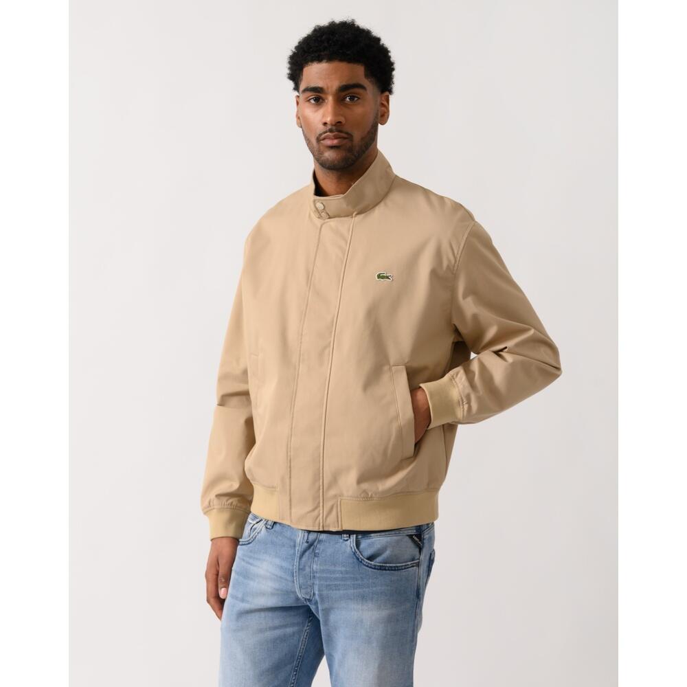 LACOSTE picture