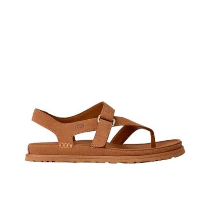 Sandales Plates Femme Ugg W Goldengaze Toe Post Marron