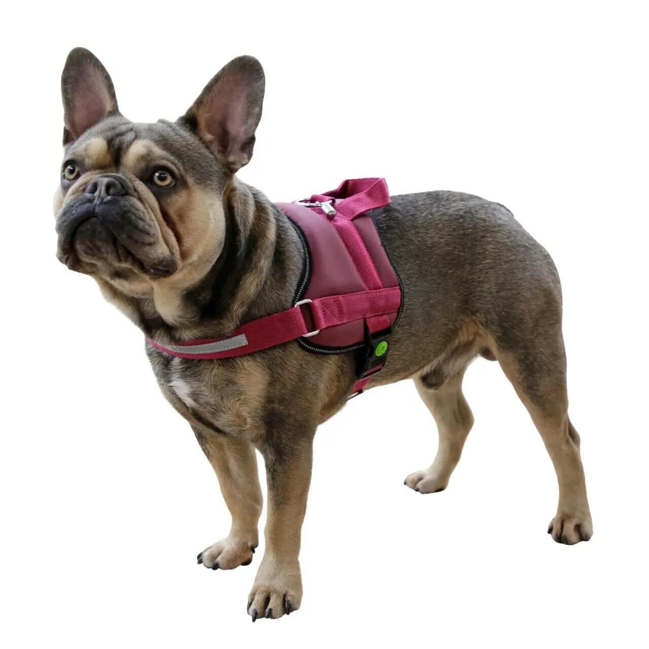 Harnais pour chien Kerbl Maestro 2.0 2/2