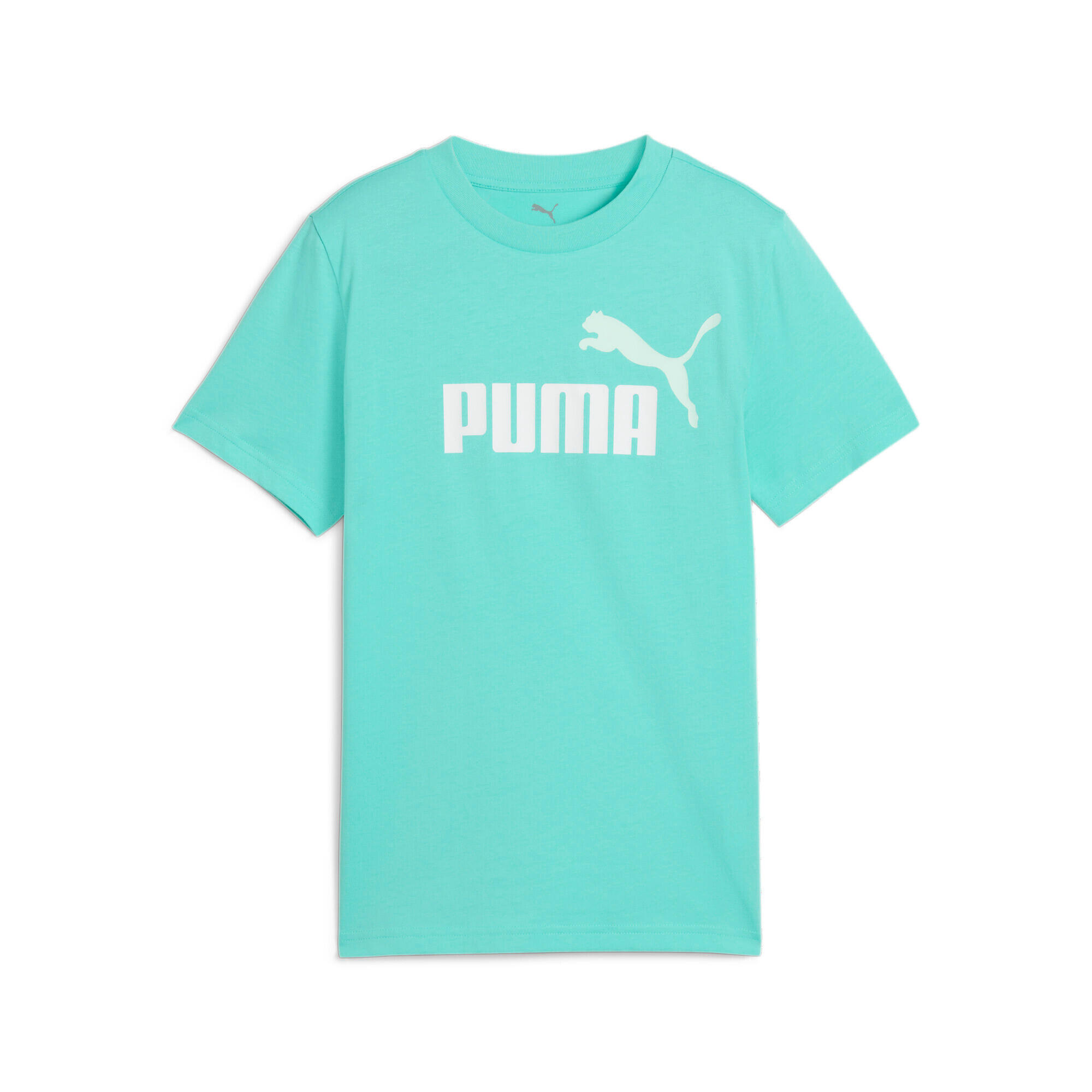 PUMA picture