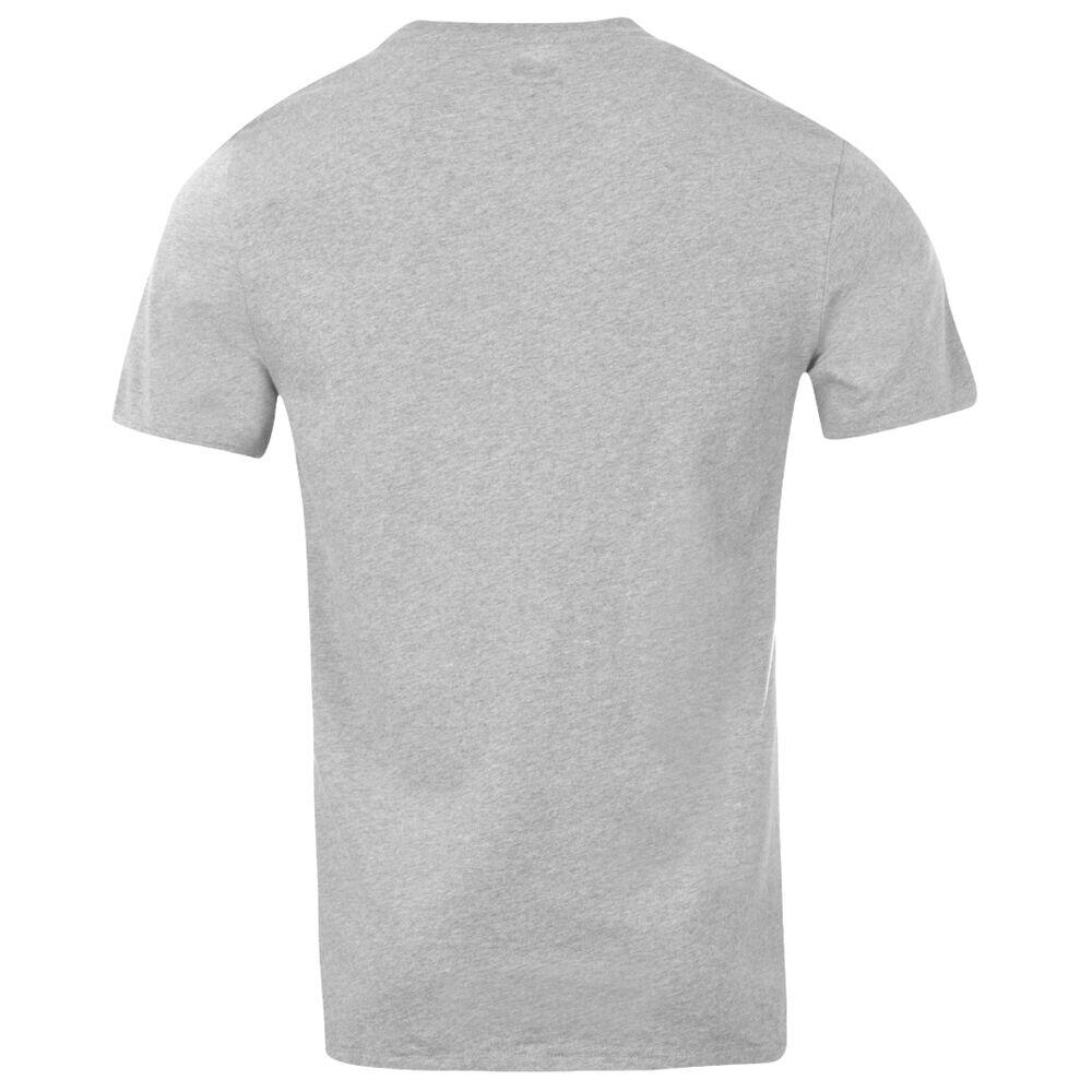 T-shirt Uomo   T-shirt grigia 17783-0138 2/5