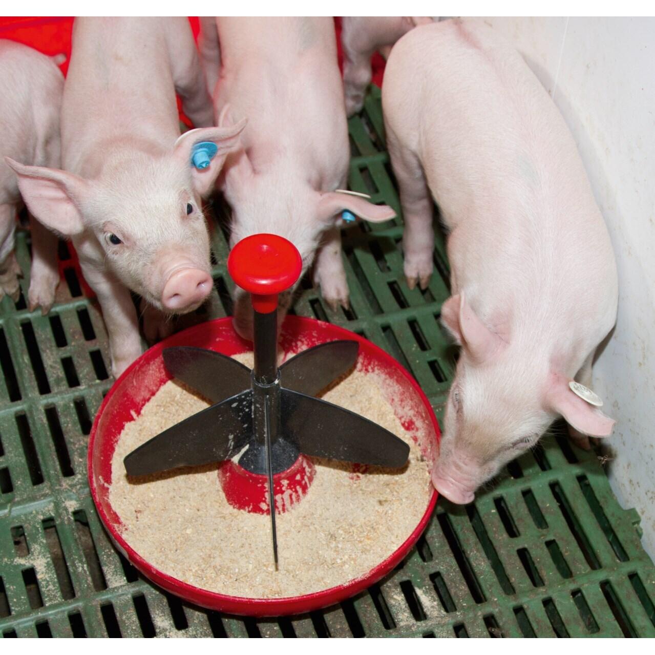 Piglet feeder Kerbl Mini-Piglet 2/2