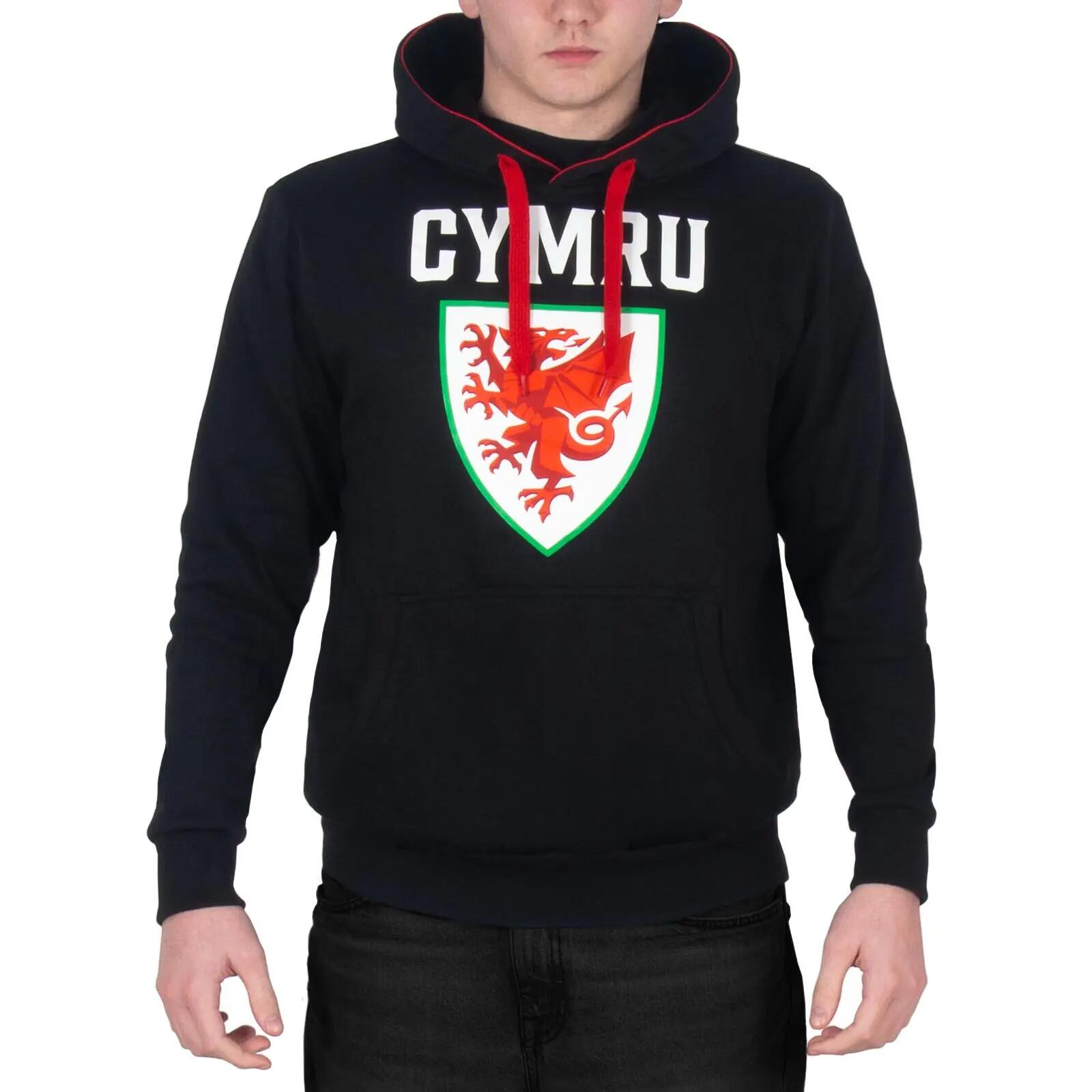 FA WALES picture
