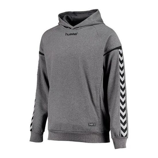 Sweat à capuche poly Hummel hmlAUTHENTIC Charge
