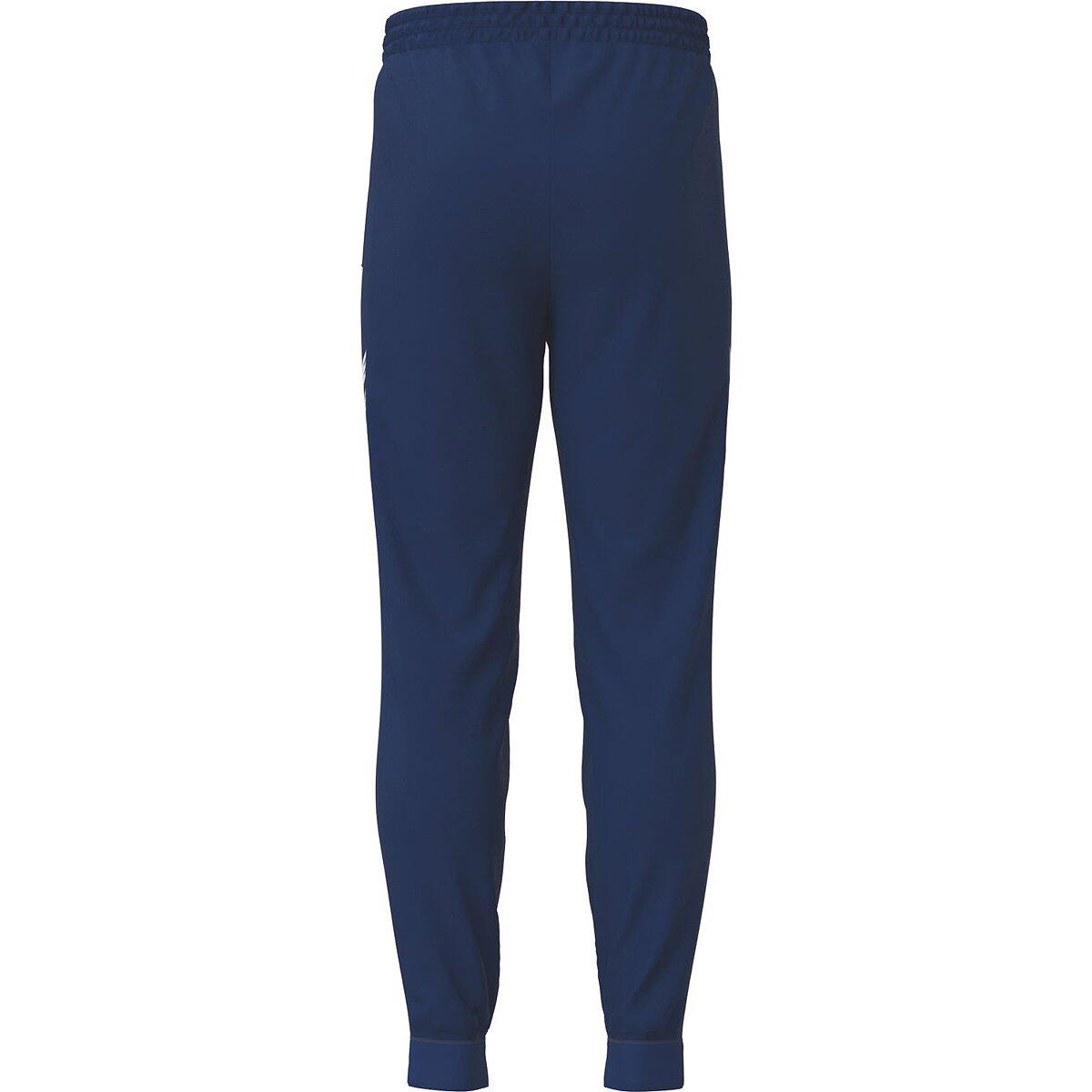 Pantalón Erima Cmpt Wings azul junior 2/3