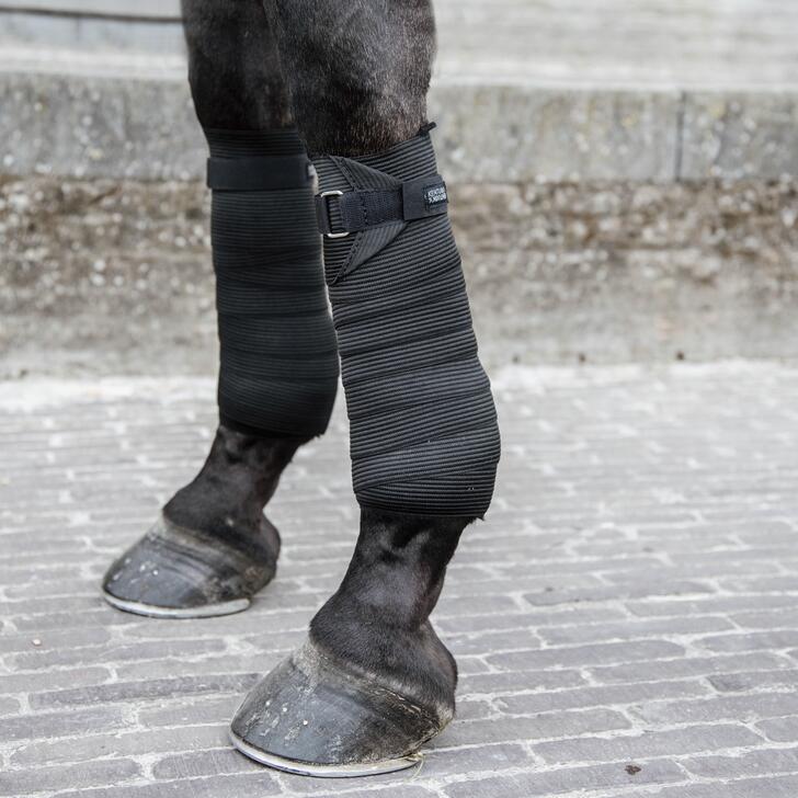 Bandes de polo élastiques pour cheval Kentucky 5/7