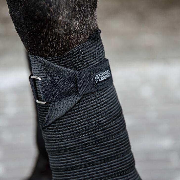 Bandes de polo élastiques pour cheval Kentucky 6/7