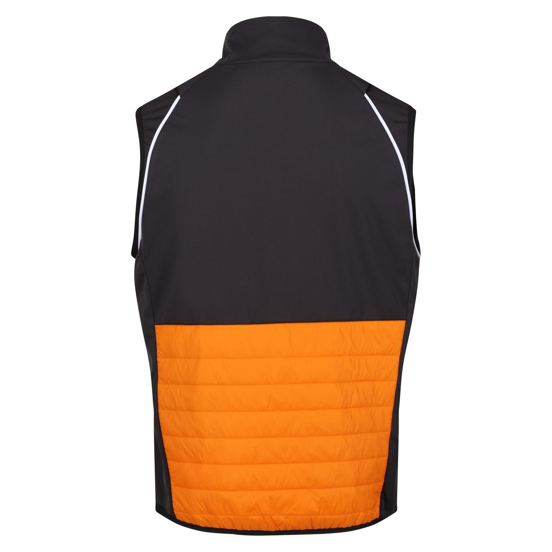 Hybride waterdicht jack Regatta Steren 4/7
