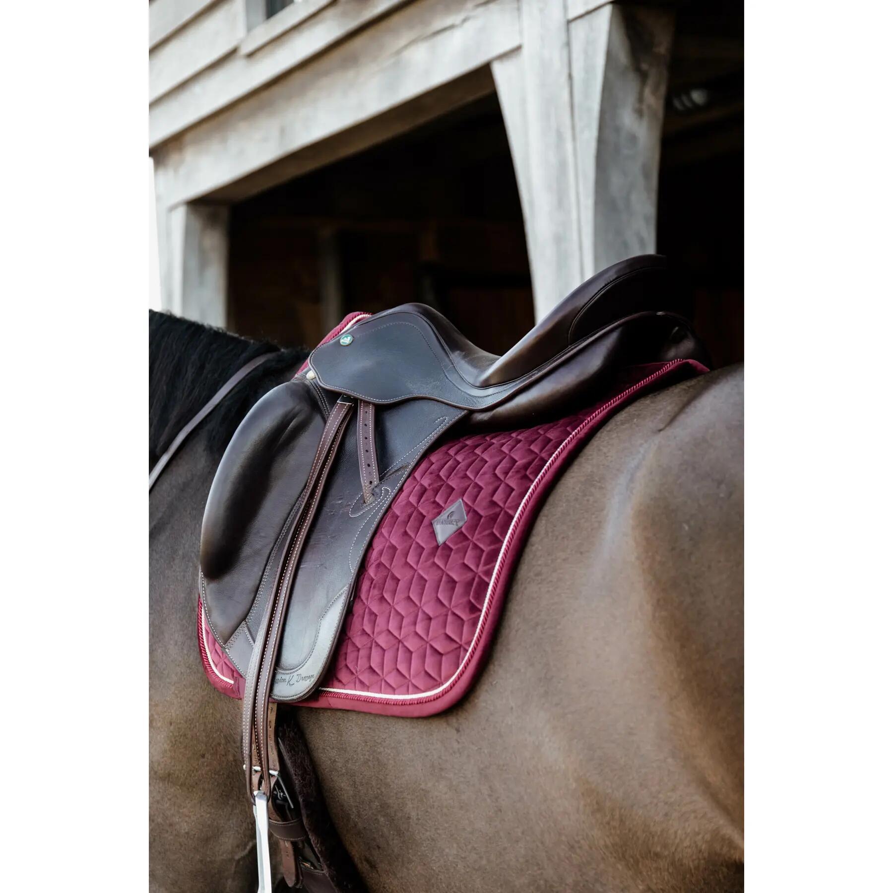 Tapis De Selle De Dressage – New Line Tack – Rose – Matelassé Léger – Avec Sangles – Usage Quotidien