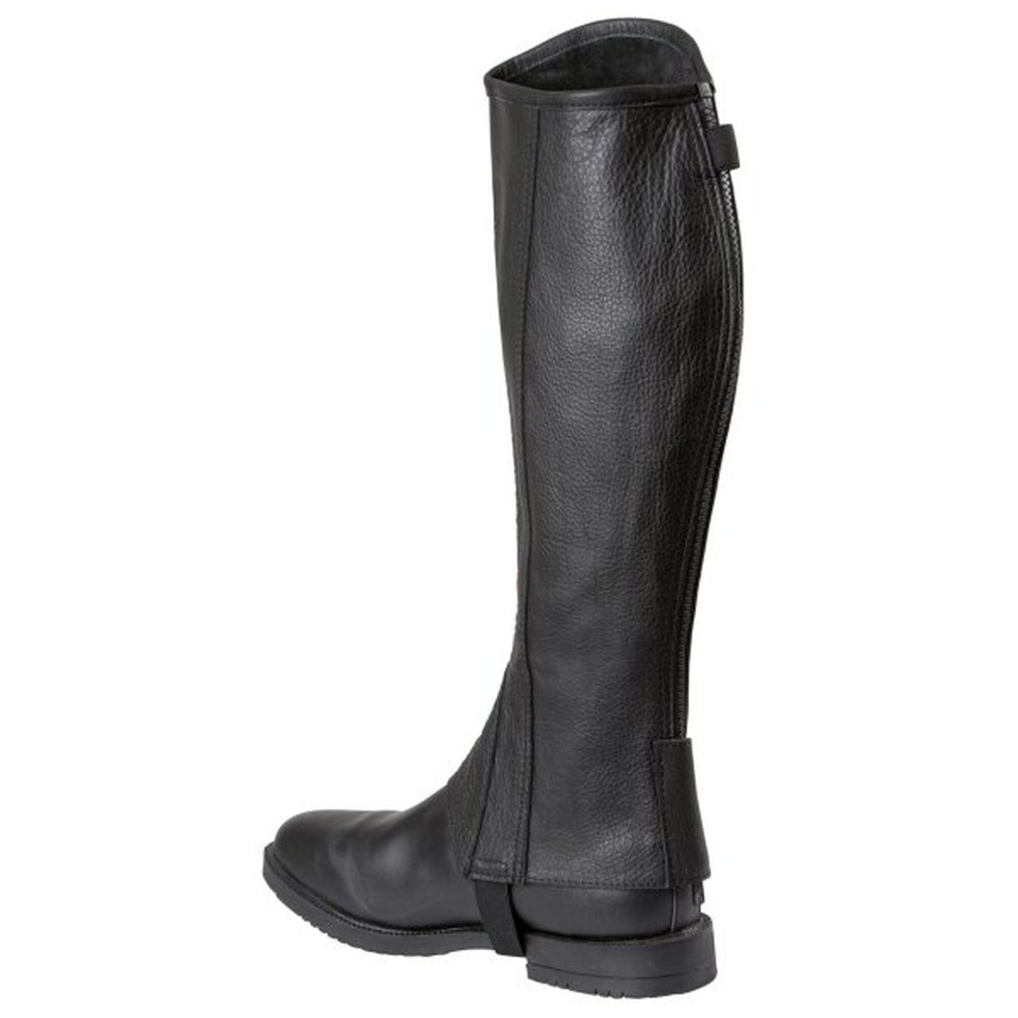 Minichaps Kerbl Elasto 3/3