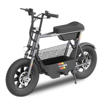 Draisienne Électrique Adulte Thunder 160 - 400W - Autonomie Jusqu'a 30 km