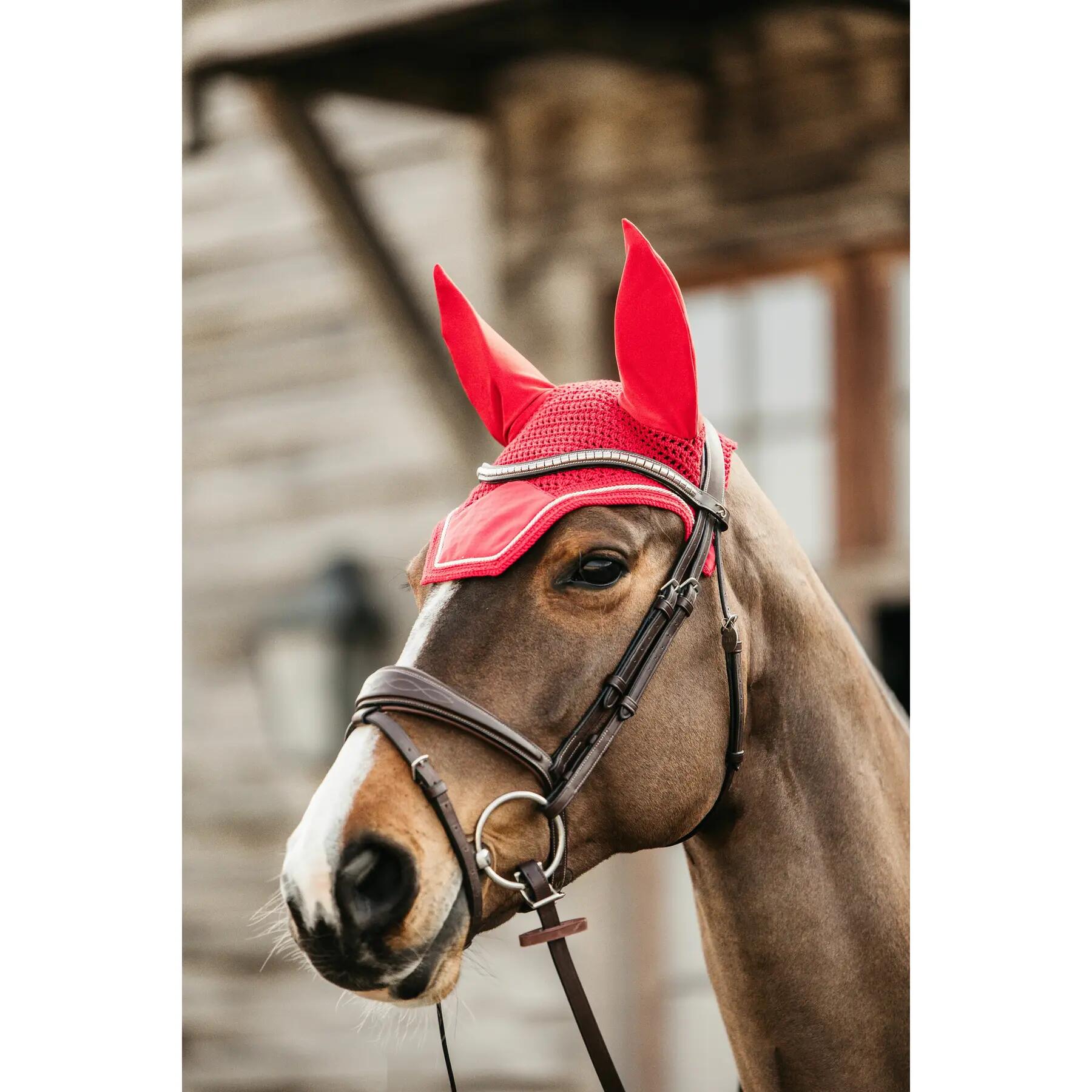 Wellington Oornetje - Velvet - Rood - Voor Paard 2/7