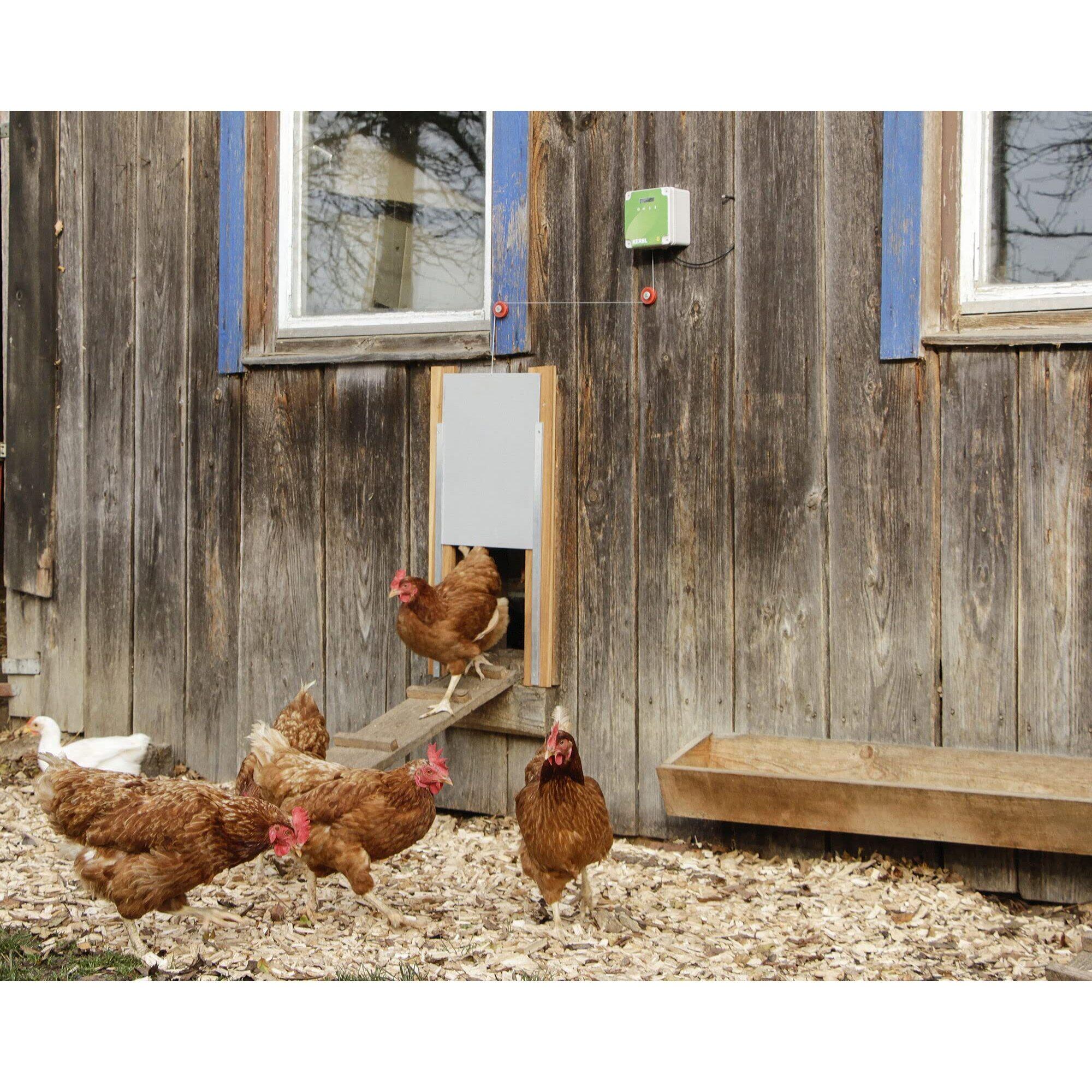 Porte poulailler coulissante alu Kerbl 2/4