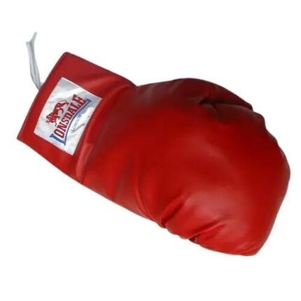 Gants de boxe Benlee Lonsdale
