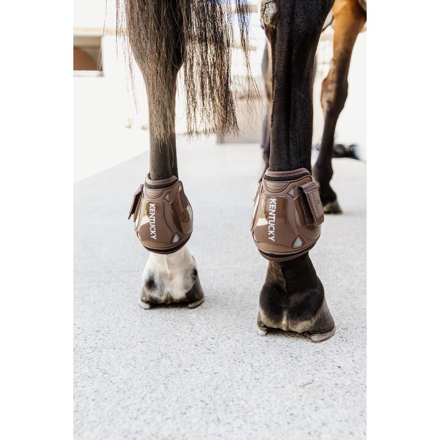 Velcro fetlock guards  Kentucky Air 4/7