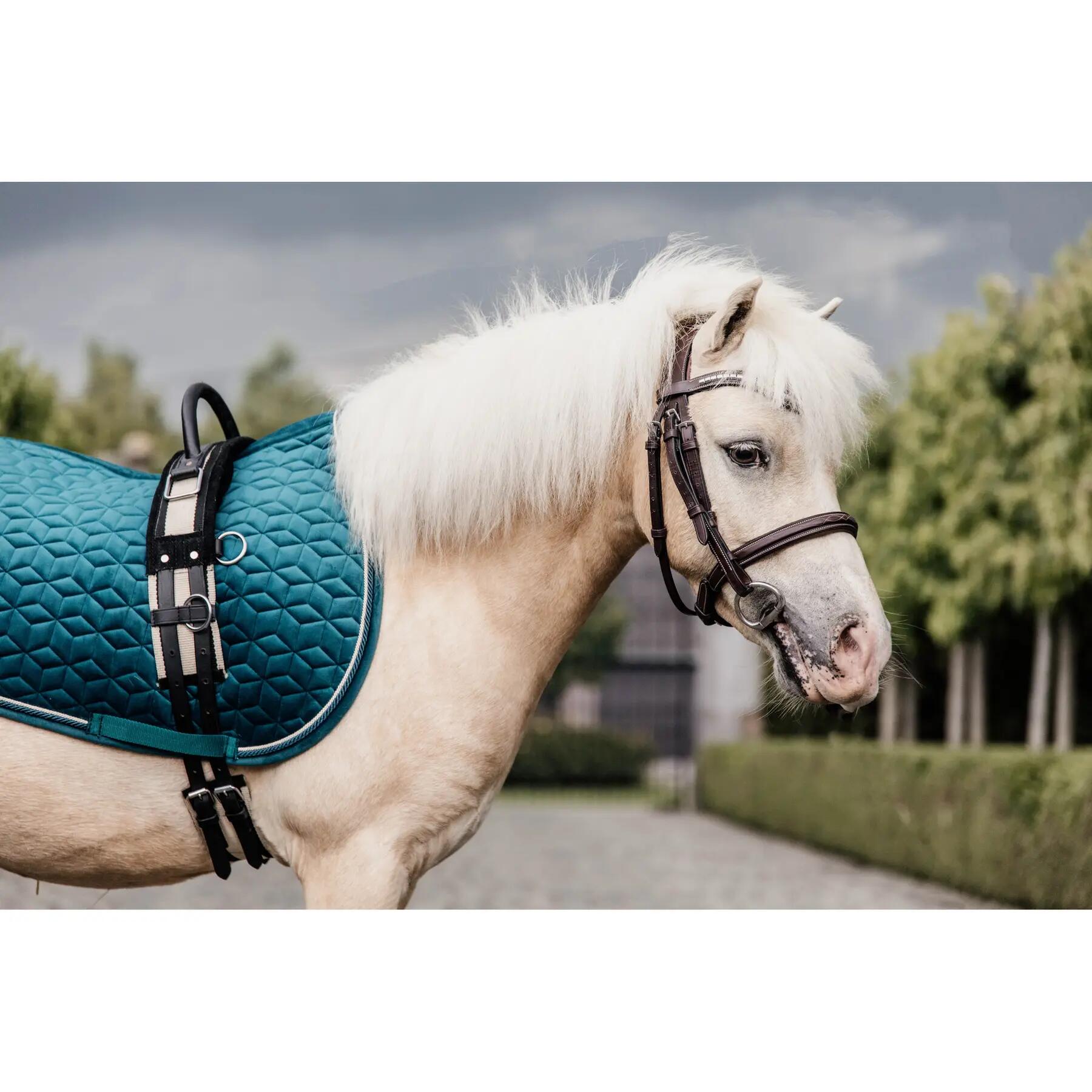 Satteldecke für Pferde Kentucky Velvet 7/7