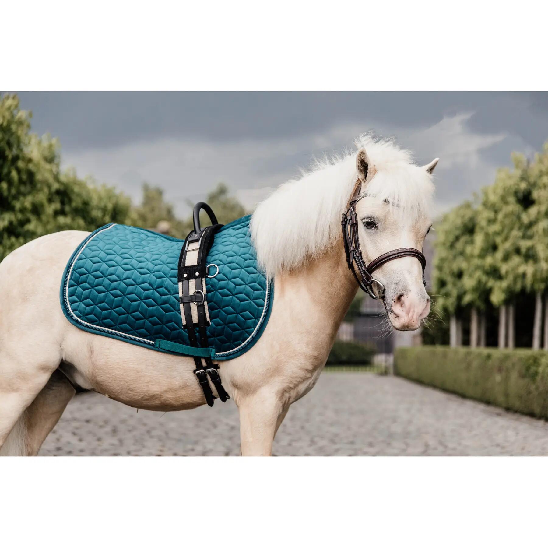 Satteldecke für Pferde Kentucky Velvet 6/7