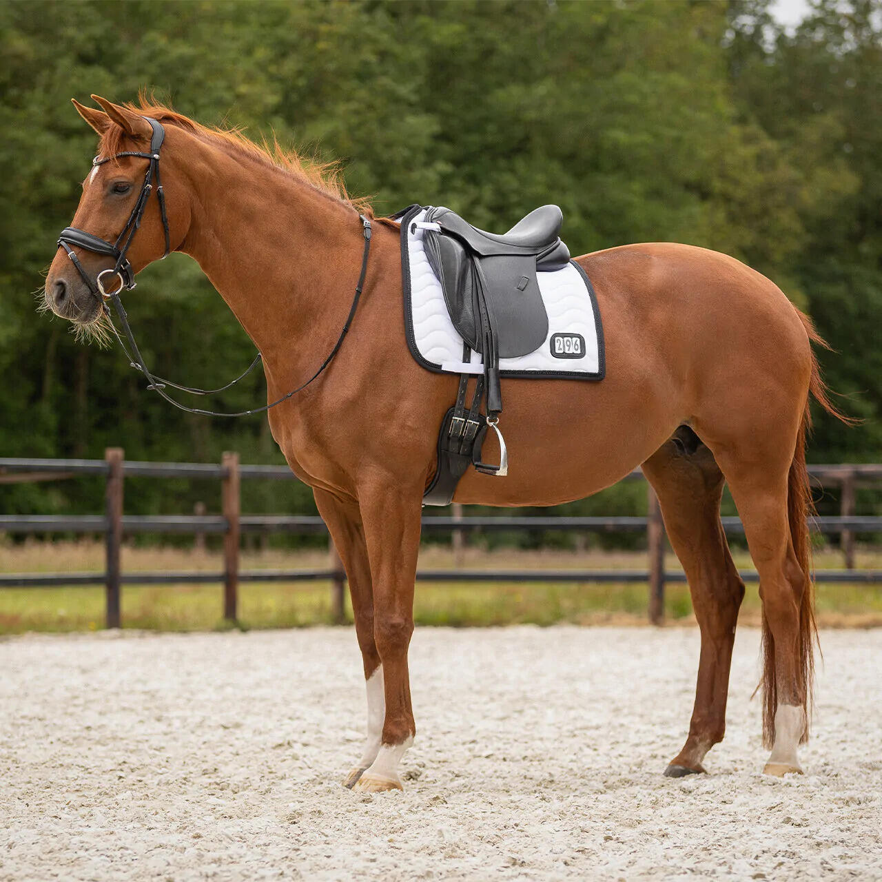 Zadeldek voor paarden QHP 3/7