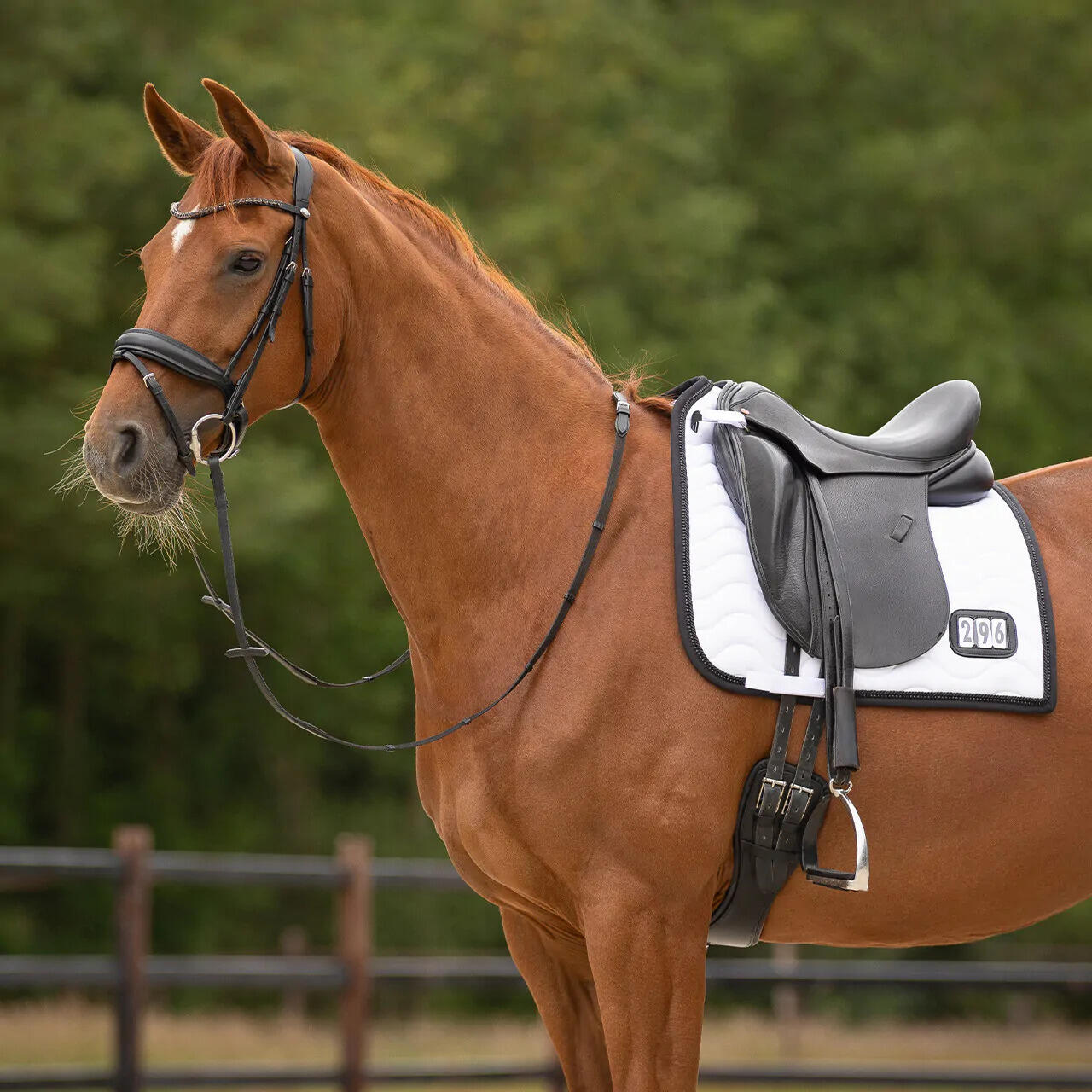 Zadeldek voor paarden QHP 5/7