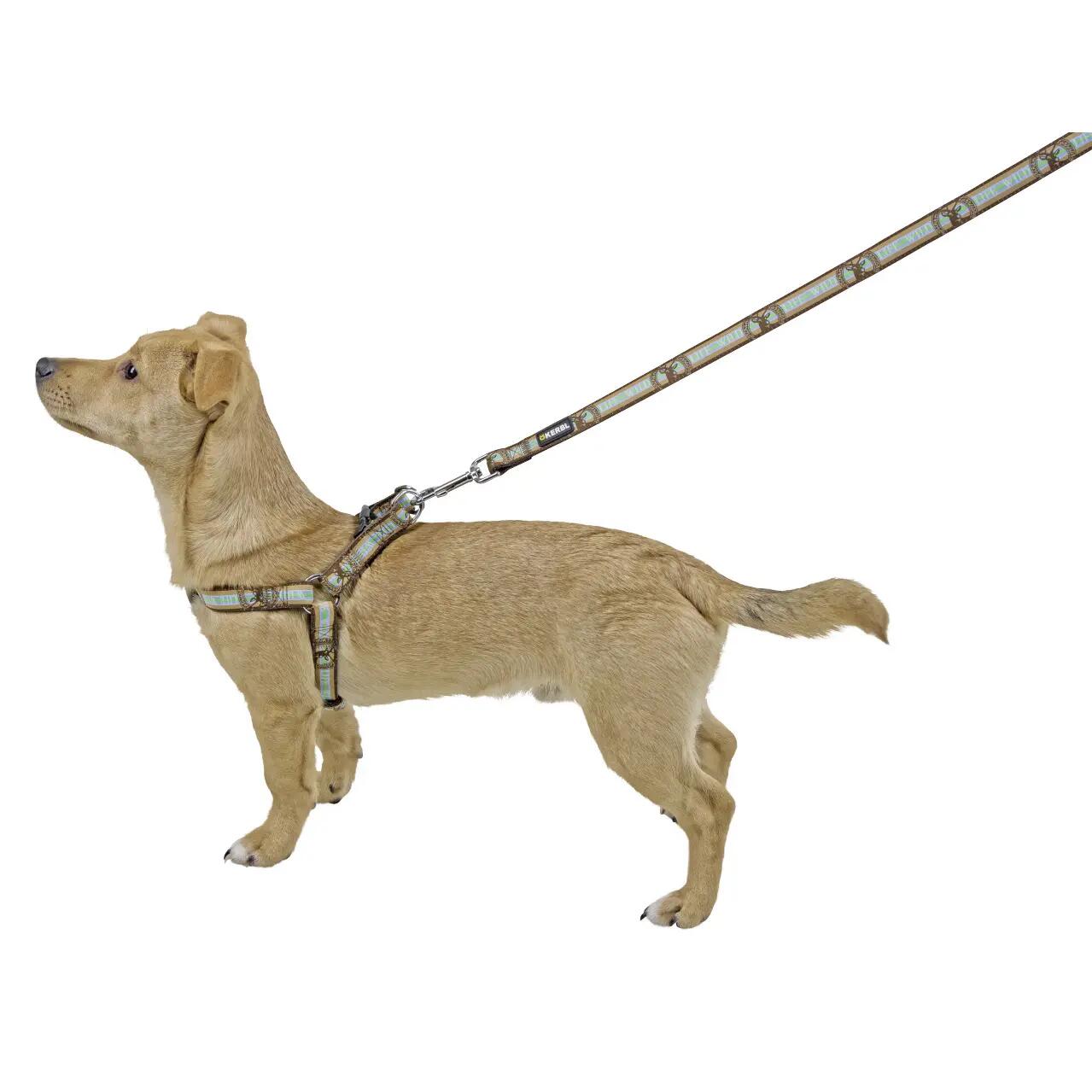 Harnais pour chien Kerbl Wild Life 2/2