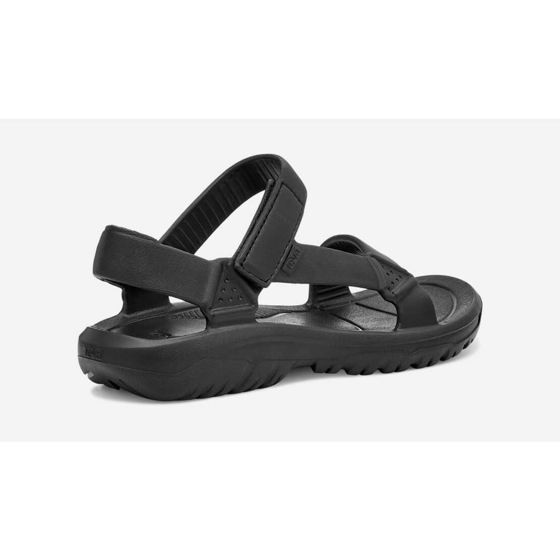 TEVA picture