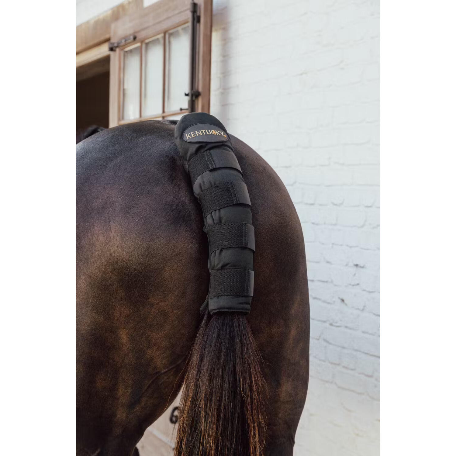 KENTUCKY HORSEWEAR picture