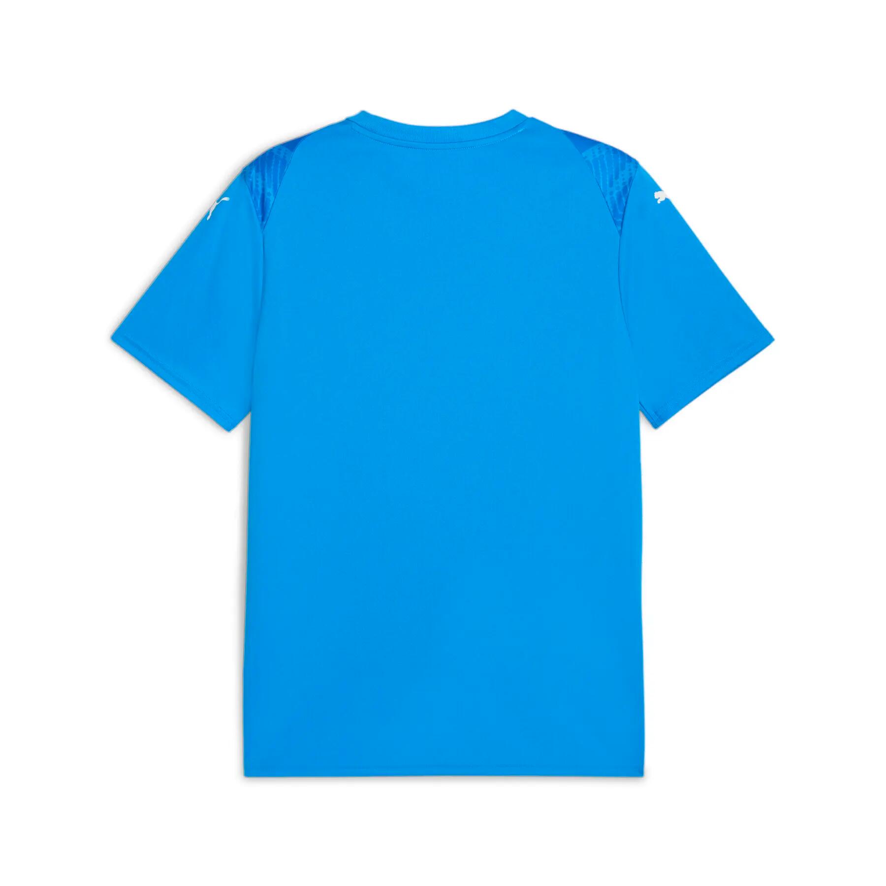 Camisola Puma TeamUltimate 2/3