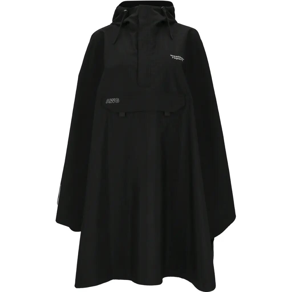 WEATHER REPORT picture