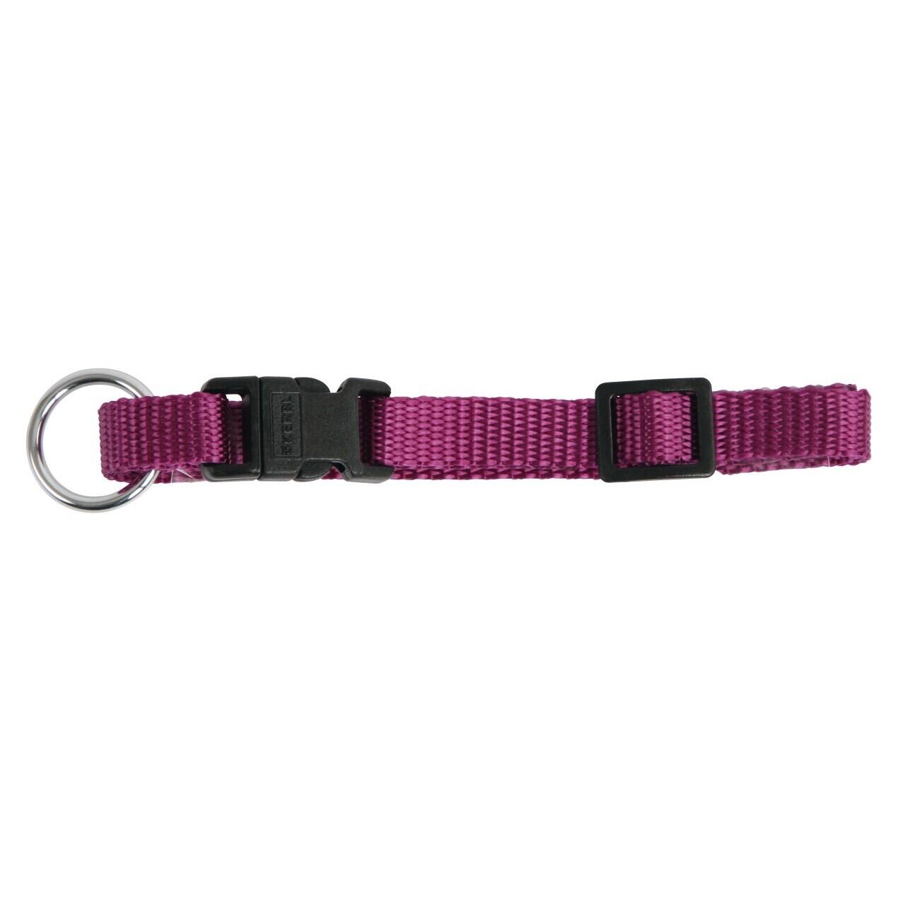 Collier pour chien Kerbl Miami 2/2