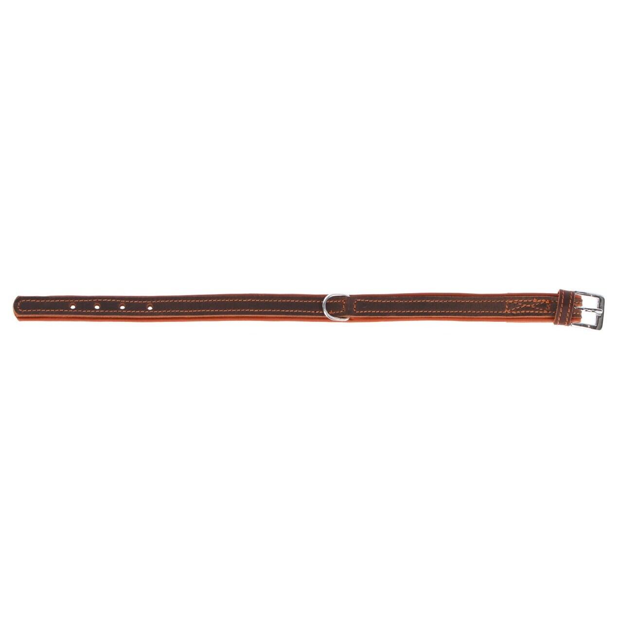 Hondenhalsband Kerbl Vegas 2/2