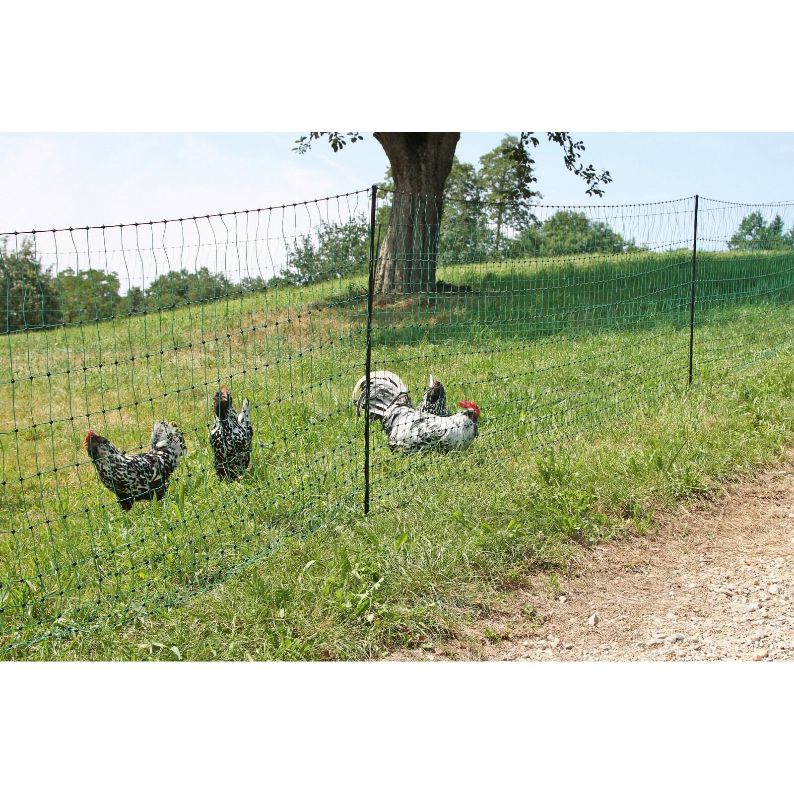 Red electrificable de doble punta para cercado de aves de corral Kerbl 3/3