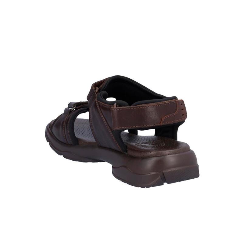 Sandalen Heren Coronel Tapiocca  Bruin 5/5
