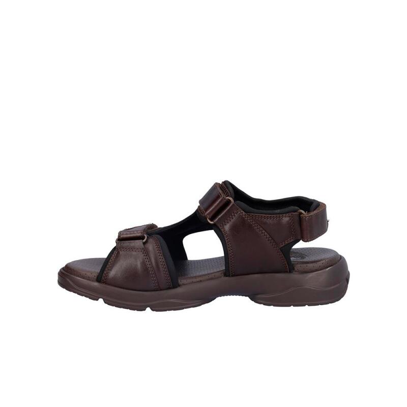 Sandalen Heren Coronel Tapiocca  Bruin 4/5