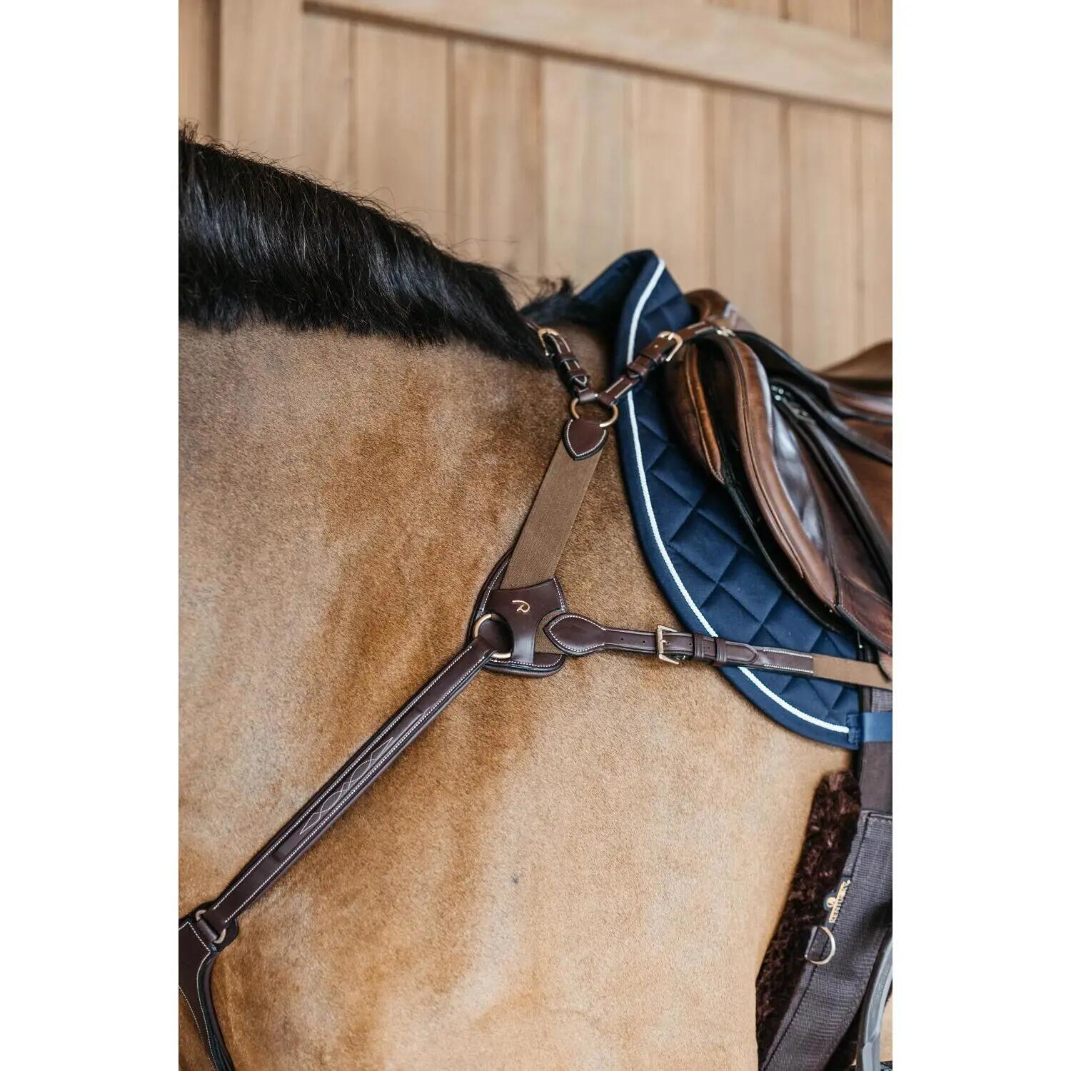 Collar de caza de 5 puntos con elástico para caballo Dy'on 3/3
