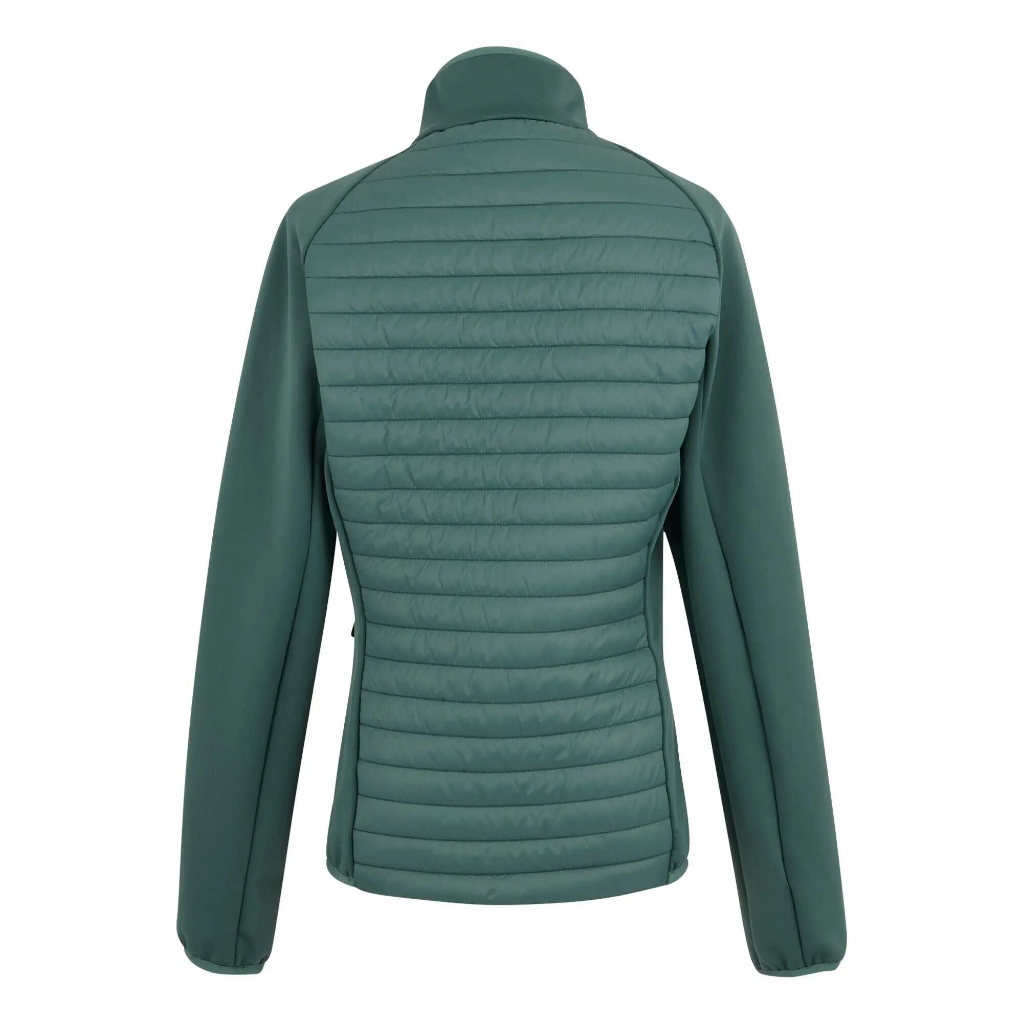 Regatta Clumber Hybrid Softshelljacke Damen 6/7