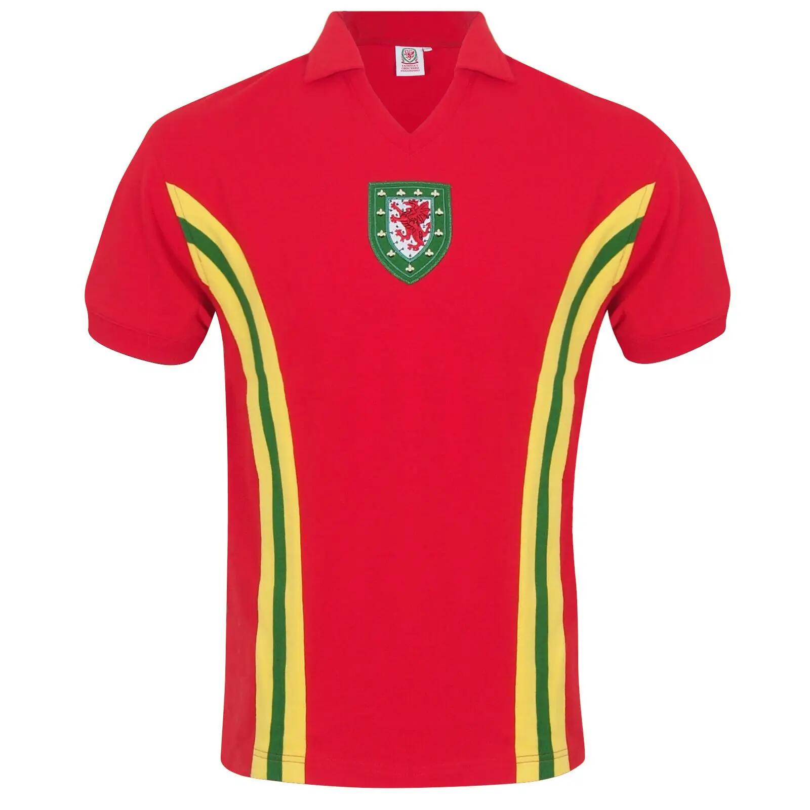 FA WALES picture