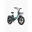 ENGWE L20 Boost Bicicletă electrică Step-Thru cu anvelope groase