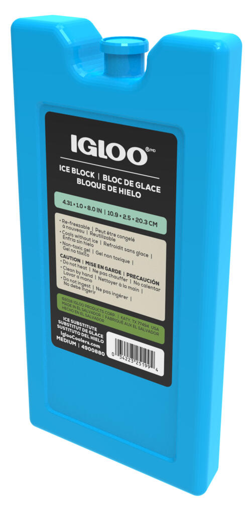 IGLOO picture