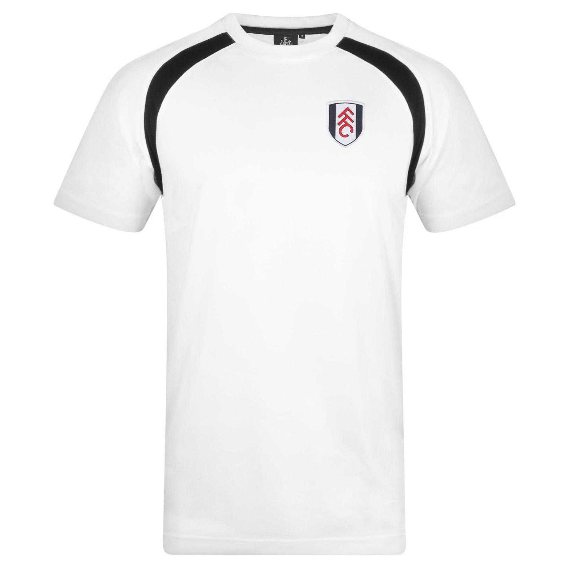 FULHAM FC picture