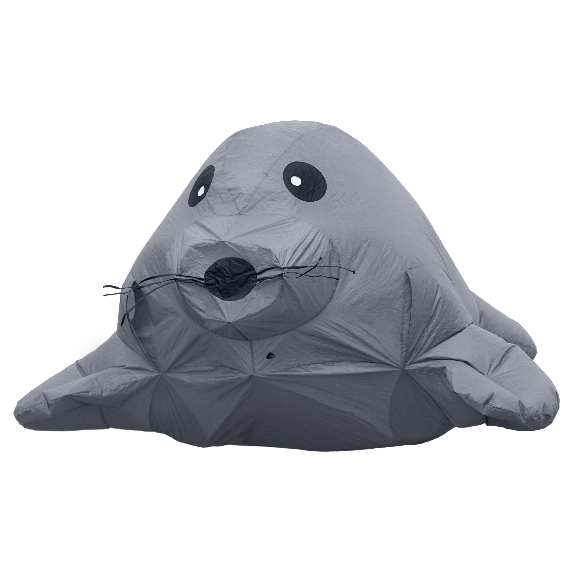 HQ POWERKITES picture