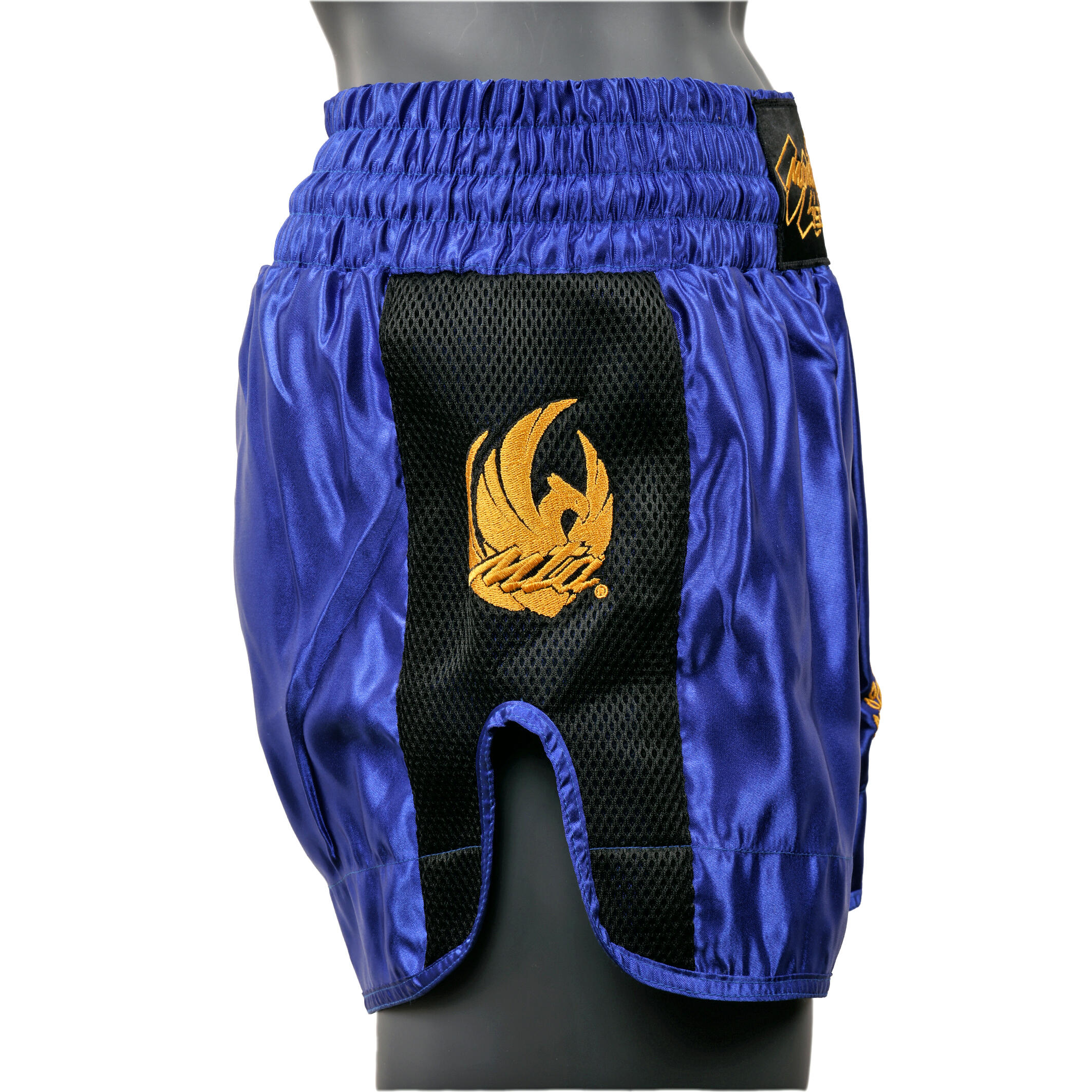 MONTANA short MUAY THAI blue L 2/5