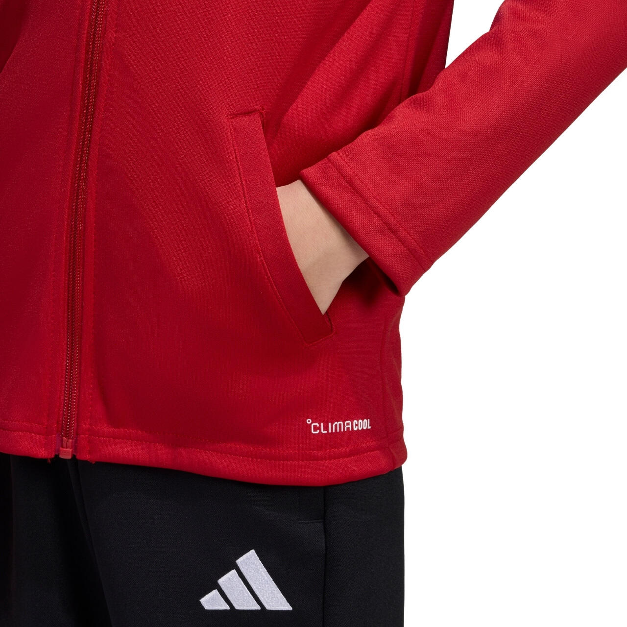 Chaqueta Entrada26 7/7
